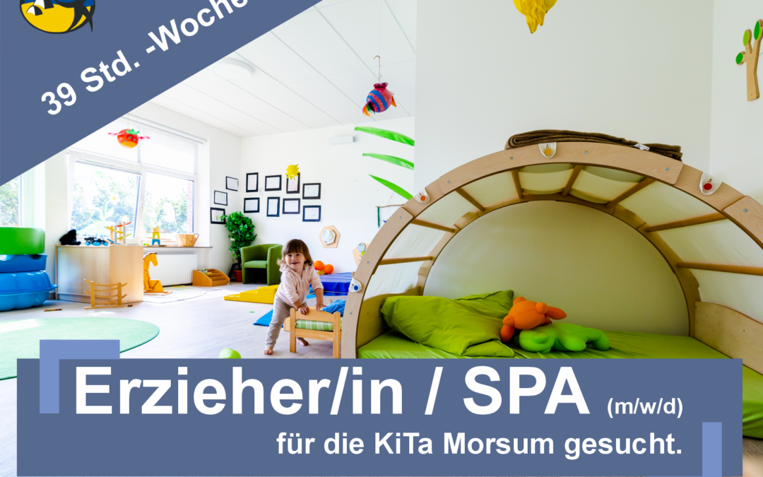 Erzieher / SPA (m/w/d)